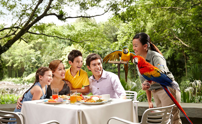 Singapore Tour Package