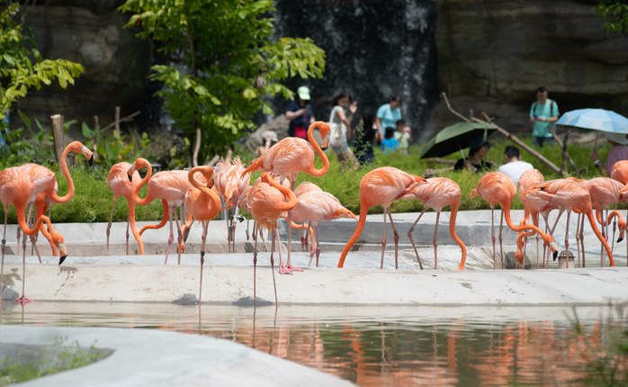 Marvellous Singapore Tour