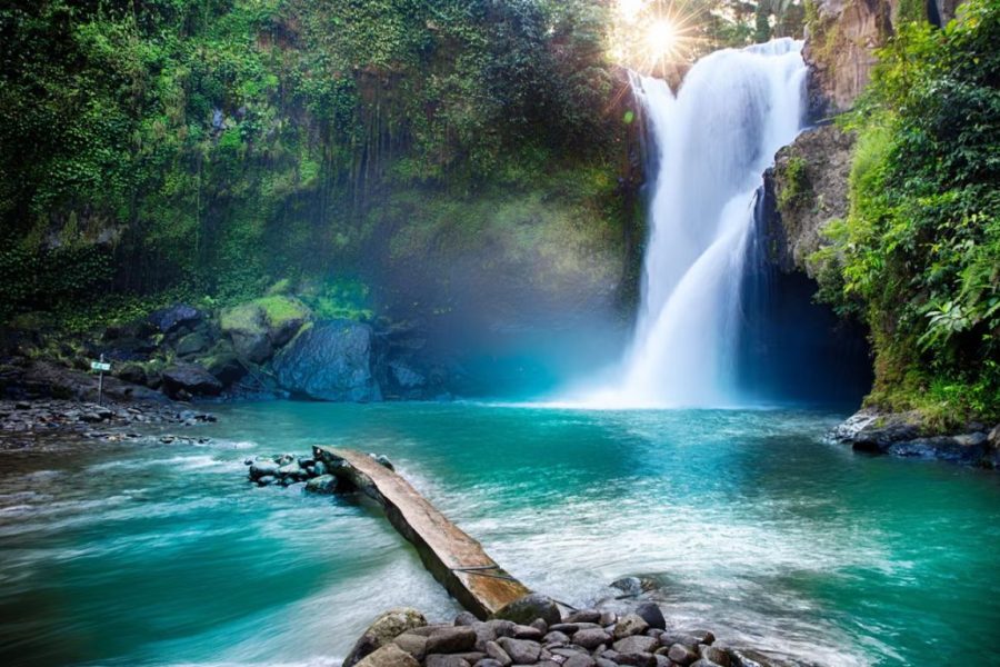 Bali Loaded Tour Package