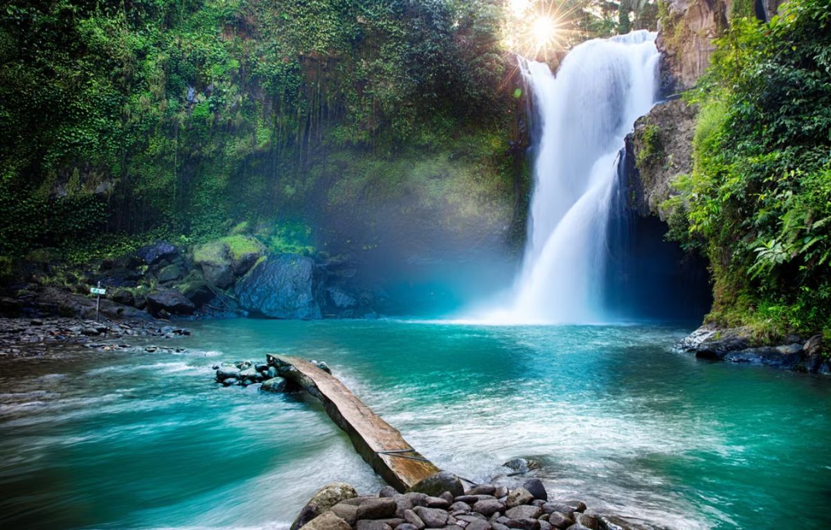 Bali Loaded Tour Package